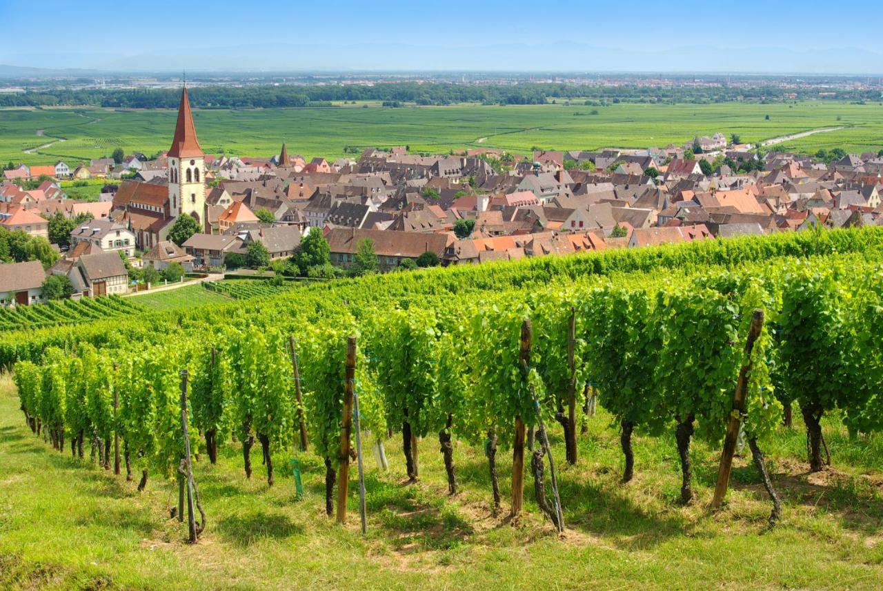 Aparthotel Goelia Le Domaine Du Golf Ammerschwihr Exteriér fotografie